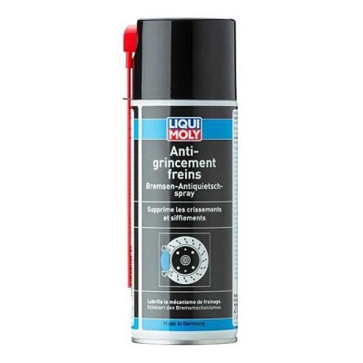 Anti-grincements freins