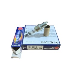 Bougies NGK Iridium bkr8eix